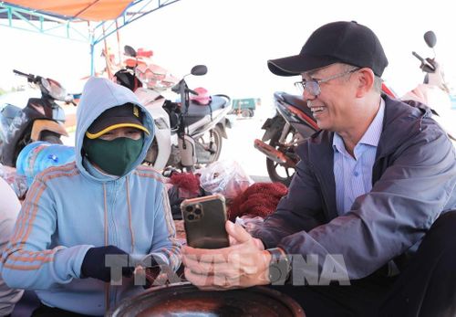 Các chuyên gia hướng dẫn ngư dân tải app, sử dụng ứng dụng báo cáo, theo dõi, cung cấp dữ liệu về động vật biển. Ảnh: Phan Phương – TTXVN