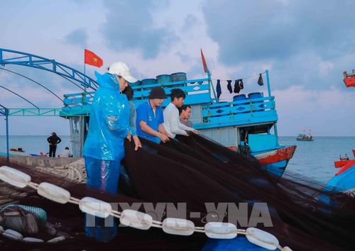 Ngư dân tham dự tập huấn tại Lý Sơn về bảo tồn biển, rùa biển và hệ sinh thái biển; được trang bị kiến thức, kỹ năng cứu hộ, giám sát, góp phần lan tỏa ý thức bảo vệ đại dương bền vững. Ảnh: Phan Phương – TTXVN