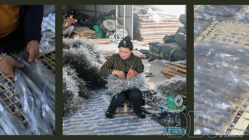 HTX Hồng Phước với các sản phẩm miến dong đạt chuẩn OCOP, mang lại thu nhập ổn định cho hàng chục lao động địa phương.