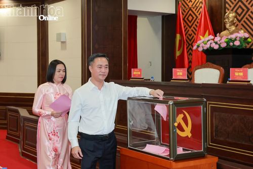 Đồng chí Nguyễn Việt Hùng bỏ phiếu bầu Bí thư Tỉnh ủy. 