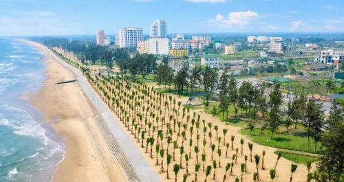 Hàng nghìn cây dừa được trồng dọc tuyến đường dạo bộ ven bãi biển, góp phần tạo cảnh quan xanh mát và chỉnh trang diện mạo đô thị biển.
