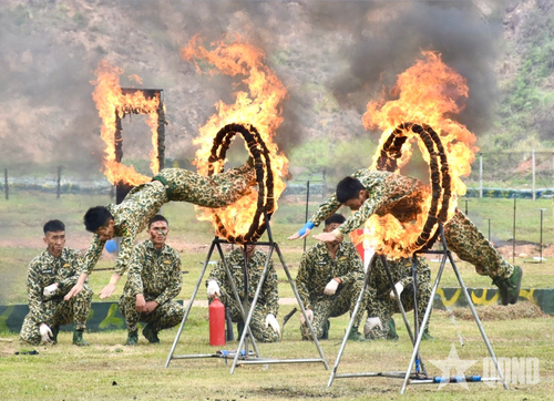 Vượt qua vòng lửa.