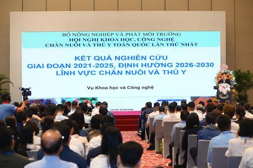 Toàn cảnh hội nghị. Ảnh: Tùng Đinh