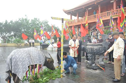 Lễ om quải (hiến trâu và cúng thần) cầu mong quốc thái dân an, mùa màng tươi tốt, bản mường no ấm.