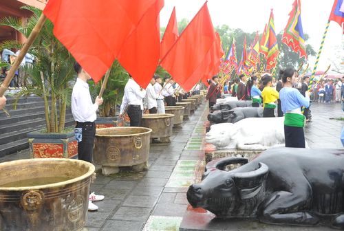 9 con trâu đá (6 trâu đen, 3 trâu bạc) quỳ chầu trước sân đền