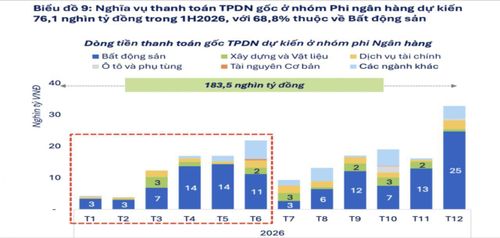 Nguồn: FiinTrade.