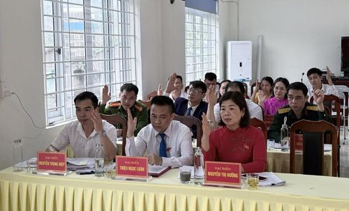 Các đại biểu biểu quyết thông qua nghị quyết.