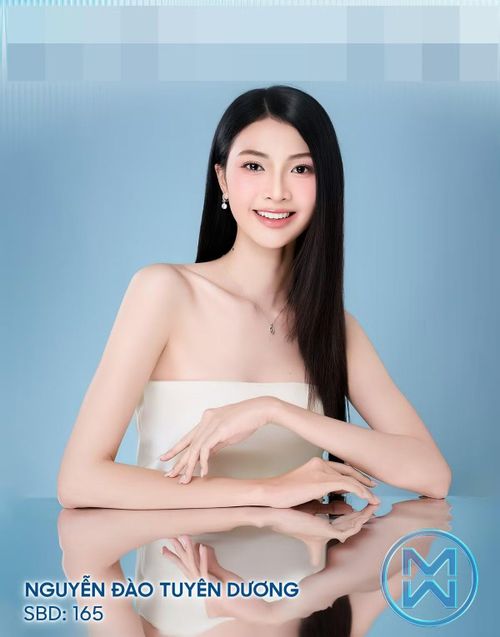 Nguyễn Đào Tuyên Dương cao 1m8, có số đo ba vòng 82-60-94 cm. Cô tốt nghiệp Đại học Quốc tế, Đại học Quốc gia TP HCM và hiện là kỹ sư. Tuyên Dương vào top 5 Người đẹp Biển do ban giám khảo lựa chọn và top 5 Người đẹp Thời trang ở Miss World Vietnam 2025.
