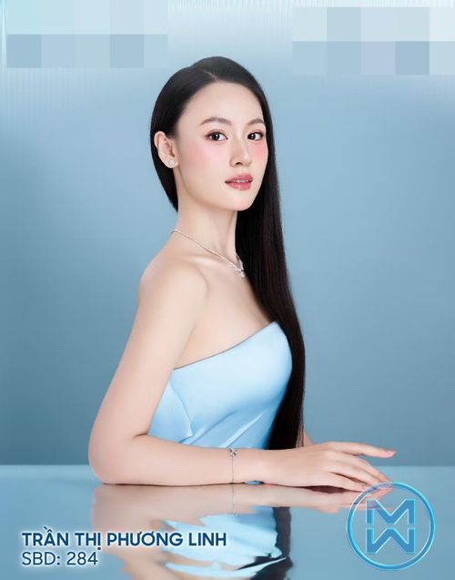 Theo Znews, Trần Thị Phương Linh tốt nghiệp loại Giỏi ngành Quan hệ Quốc tế tại Học viện Ngoại giao. Cô cao 1m73, từng lọt vào top 8 Người đẹp bản lĩnh, vòng thi phụ thuộc khuôn khổ Miss World Vietnam 2025.