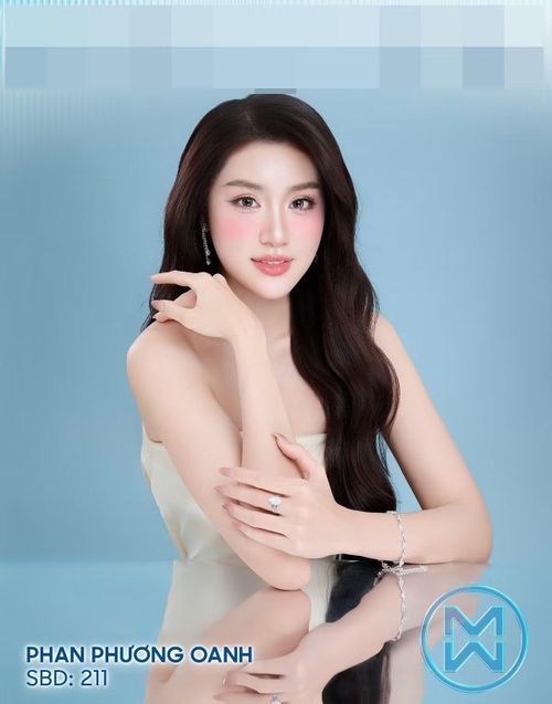 Phan Phương Oanh vào top 10 Người đẹp du lịch, top 4 Queen Talk ở Miss World Vietnam 2025. Cô tốt nghiệp Đại học Kinh tế Quốc dân. Trước Miss World Vietnam 2025, Phương Oanh vào top 10 Hoa hậu Việt Nam 2022.
