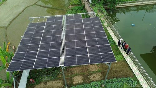 Bên cạnh tiết kiệm điện trong một giờ đồng hồ, người dân Lào Cai còn hưởng ứng bằng việc sử dụng năng lượng tái tạo, năng lượng xanh.