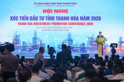 Chủ tịch UBND tỉnh Thanh Hóa Nguyễn Hoài Anh phát biểu tại hội nghị. Ảnh: VGP.