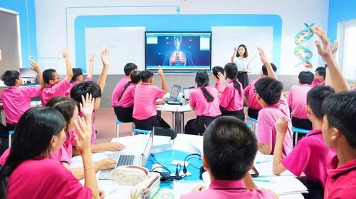 Trường Tiểu học, THCS và THPT Trưng Vương học tập qua mô hình giải phẫu cơ thể người.