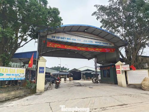 Cơ sở giết mổ gia súc tập trung Vạn Phúc.