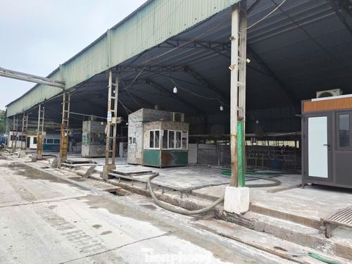 Bên trong cơ sở giết mổ tập trung có khoảng 20 cơ sở giết mổ hoạt động.