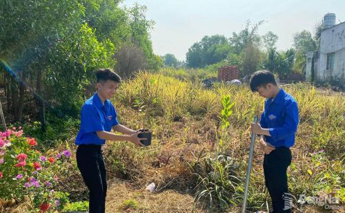 Đoàn viên xã Trảng Bom tham gia phát quang, dọn dẹp trước khi lắp đặt hệ thống chiếu sáng. Ảnh: ĐVCC