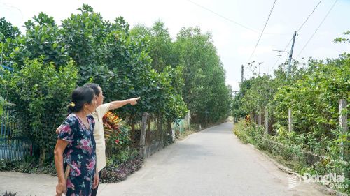Bà Tăng Thị Kim Lan và ông Cao Hữu Nghĩa chỉ một cột đèn do người dân từng lắp đặt đã bị nghiêng ngả. Ảnh: Minh Hạnh