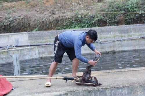 Trang trại tạo việc làm cho một số lao động địa phương.