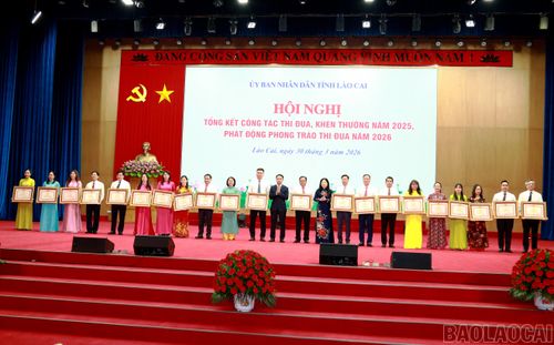 Thừa ủy quyền của Thủ tướng Chính phủ, các đồng chí lãnh đạo tỉnh trao tặng Bằng khen của Thủ tướng Chính phủ cho các tập thể, cá nhân.
