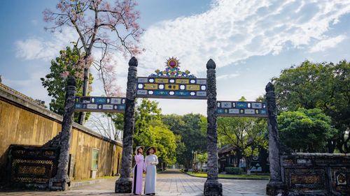 Dưới thời vua Minh Mạng, hình ảnh ngô đồng còn được cho khắc lên Du Đỉnh thuộc Cửu Đỉnh, như một cách lưu dấu vẻ đẹp và vị thế đặc biệt của loài “kỳ hoa dị thảo” trong không gian cung đình.