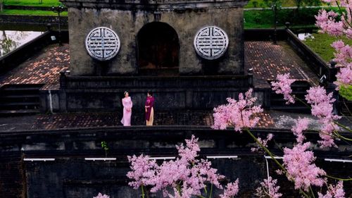 Theo Đại Nam nhất thống chí, dưới thời vua Minh Mạng, triều đình đã sai người am hiểu cây cỏ vượt rừng, lần theo các dãy núi để tìm bằng được giống ngô đồng bản địa đưa về trồng trong Hoàng thành.