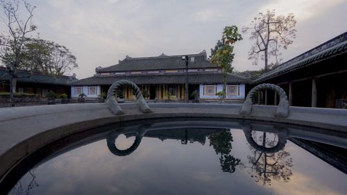 Hiện nay, trong khuôn viên Đại Nội Huế, những cây ngô đồng vẫn được gìn giữ và phát triển ở khu vực phía sau Điện Thái Hòa, cũng như tại Tả Vu, Hữu Vu. Nổi bật trong số đó là ba cây cổ thụ có kích thước lớn, vươn cao từ 16-18m, thân cây vững chãi với đường kính tối thiểu khoảng 0,7m, tạo nên dáng thế uy nghi mà vẫn đầy chất thơ giữa không gian cung đình cổ kính.