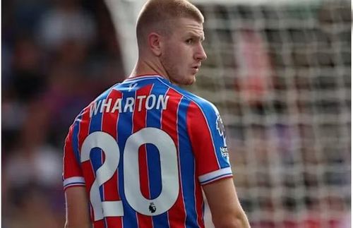 Ngoài Anderson, các mục tiêu khác của Man United bao gồm Adam Wharton (Crystal Palace), Sandro Tonali (Newcastle).