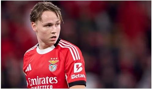 Tuy nhiên, Benfica vốn không thiếu tiền và sẽ không dễ để "viên ngọc" của mình ra đi dễ dàng.
