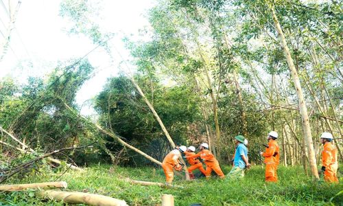 Phối hợp chính quyền địa phương và các cơ quan chức năng ra quân giải phóng hành lang an toàn lưới điện, đảm bảo vận hành ổn định.