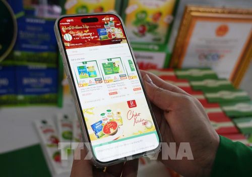 Tỉnh Khánh Hòa đẩy mạnh phát triển thương mại điện tử, ưu tiên đưa các sản phẩm chủ lực và OCOP lên nền tảng số để mở rộng kênh tiêu thụ. Ảnh: Nguyễn Thành – TTXVN