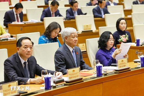 Các đại biểu tham dự Hội nghị. (Ảnh: Doãn Tấn/TTXVN)