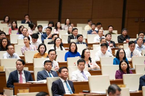 Các đại biểu tham dự Hội nghị