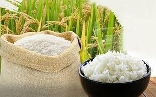 Thị trường lúa gạo tại khu vực Đồng bằng sông Cửu Long ghi nhận diễn biến khá ổn định, không có nhiều biến động về giá.
