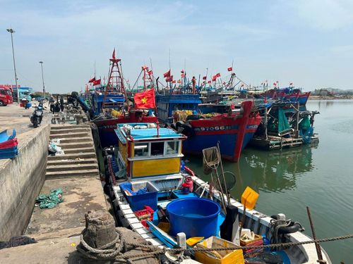 Ngư dân cho tàu nằm bờ để tìm cách thích ứng với tình hình