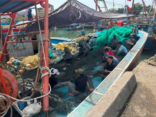 Tàu không vươn khơi, gây nhiều hệ lụy cho hậu cần nghề cá, lao động mất việc