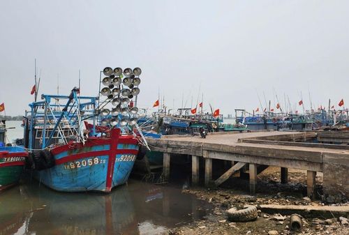 Nhiên liệu và giá đầu vào tăng cao, nhiều chủ tàu phải chịu cảnh nằm bờ