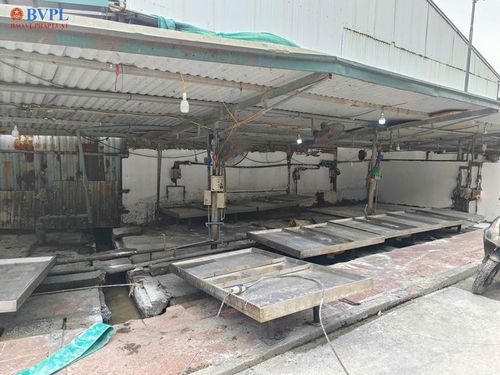 Cận cảnh lò mổ gần 300 tấn lợn bệnh ở Hà Nội.