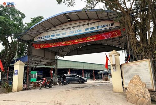Cơ sở giết mổ gia súc tập trung Vạn Phúc đang tạm ngừng hoạt động.