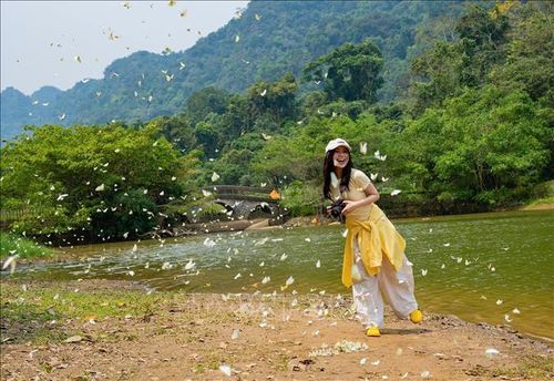 Du khách thích thú với những cánh bướm mỏng manh.