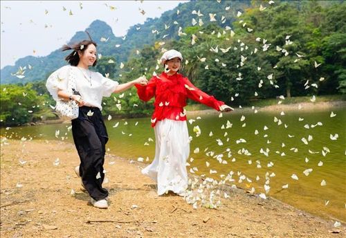 Du khách thích thú với những cánh bướm mỏng manh.