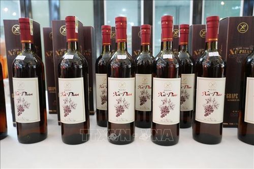 Sản phẩm rượu nho được giới thiệu tại một sự kiện quảng bá, kết nối tiêu thụ sản phẩm OCOP và đặc thù của địa phương do tỉnh Khánh Hòa tổ chức.