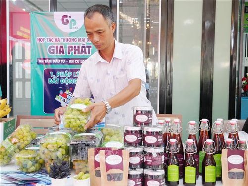 Sản phẩm nho tươi và nho chế biến của Hợp tác xã Nho Evergreen Ninh Thuận (phường Ninh Chử, Khánh Hòa).