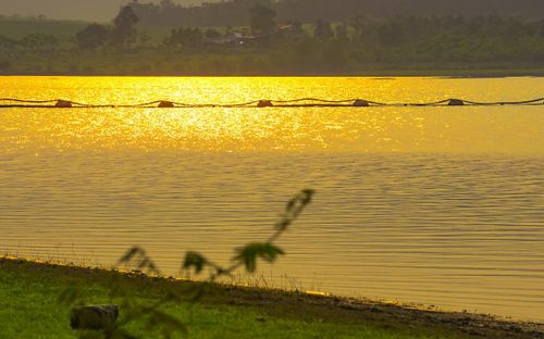 Vẻ đẹp của hồ hiện lên rõ nét nhất vào buổi sớm mai. Khi mặt trời vừa ló rạng, ánh sáng nhẹ nhàng phản chiếu trên mặt nước phẳng lặng, hòa cùng làn sương mỏng và bóng núi xa xa, tạo nên khung cảnh yên ả, thơ mộng. Đây cũng là thời điểm lý tưởng để du khách ngắm bình minh, chụp ảnh và tận hưởng trọn vẹn sự tinh khiết của thiên nhiên.