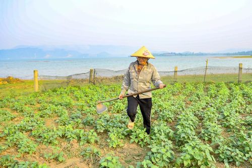 Theo chị Nguyễn Thị Hóa (41 tuổi), người dân sinh sống gần hồ, du khách khi đến đây không chỉ được thưởng ngoạn cảnh sắc mà còn có thể tham gia các hoạt động như đốt lửa trại, thưởng thức đặc sản địa phương, đặc biệt là các loại thủy sản tươi ngon từ lòng hồ.