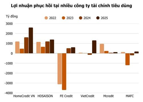  Ảnh: T.D tổng hợp từ BCTC