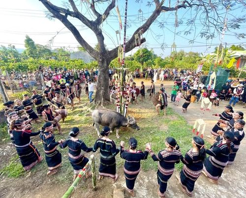 Rộn rã cồng chiêng và nhịp xoang ngày hội. Ảnh: P.D