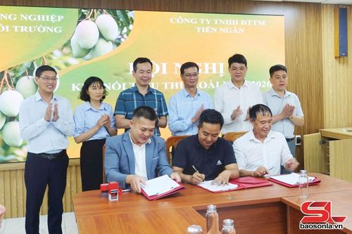 Ký kết biên bản ghi nhớ hợp tác, hợp đồng bao tiêu sản phẩm xoài với một số hợp tác xã trên địa bàn.