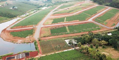 Hiện nay 45 triệu thửa đất chưa có dữ liệu. Ảnh minh họa