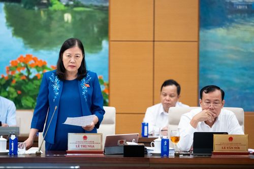 Phó Chủ nhiệm Thường trực Ủy ban Dân nguyện và Giám sát Lê Thị Nga phát biểu. Ảnh: Phạm Thắng