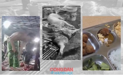 Lợi nhuận đã bước vào bữa ăn học đường, nhưng cơ chế kiểm soát và chuẩn mực đạo đức chưa đủ mạnh để đi cùng, không bảo vệ được sức khỏe học đường và gây lung lay niềm tin xã hội.